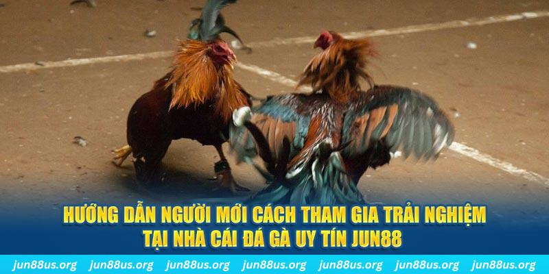 j9 bet loi game dot kich ket noi may chu that bai