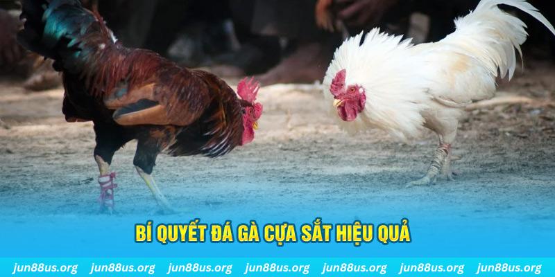 j9 bet đăng nhập mậu binh dễ thắng