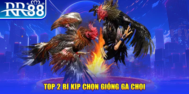 j9 bet mục tiêu của người chơi trong baccarat là gì？