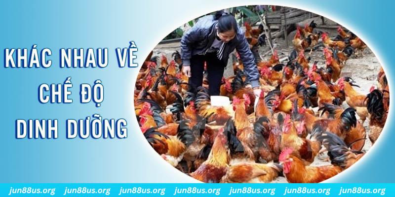 j9 bet xổ số miền nam thứ năm hàng tuần