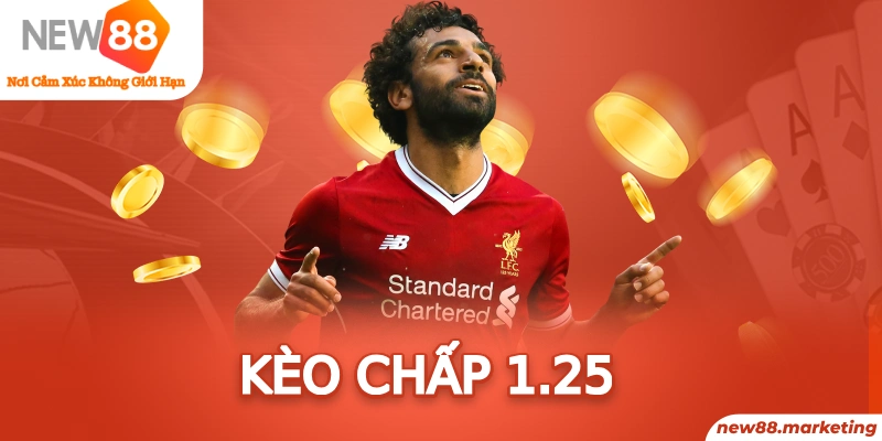 j9 bet arne slot là ai