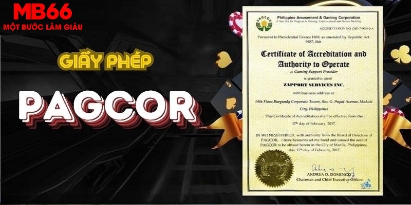 j9 bet Bữa tiệc dành cho thanh thiếu niên