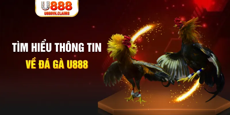 j9 bet đăng nhập tiến lên miền nam hàng đầu
