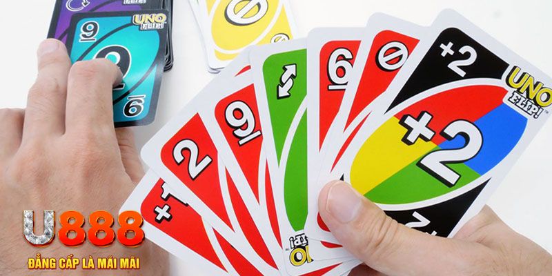 j9 bet gà chọi cu cần