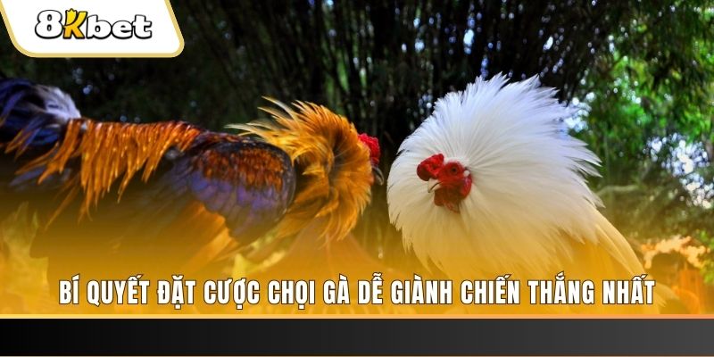 j9 bet xổ số thứ hai hàng tuần