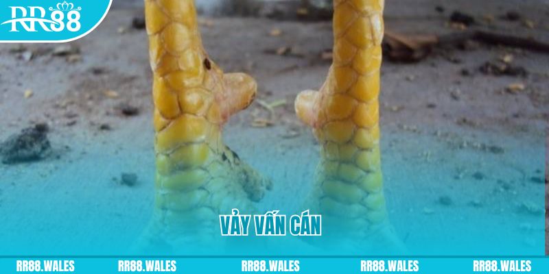 j9 bet đăng nhập nổ hũ hôm nay