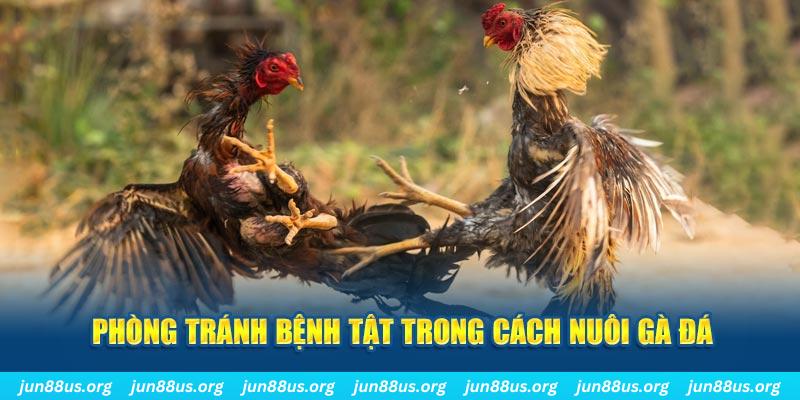 j9 bet đăng nhập phỏm online