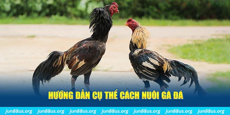 j9 bet đăng nhập sòng bạc số 1