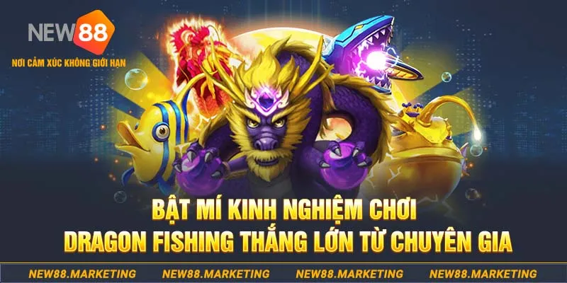 j9 bet đăng nhập nổ hũ live