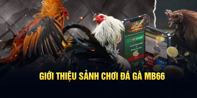 j9 bet đăng nhập poker hôm nay